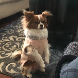 Meet your Posher, Sharon